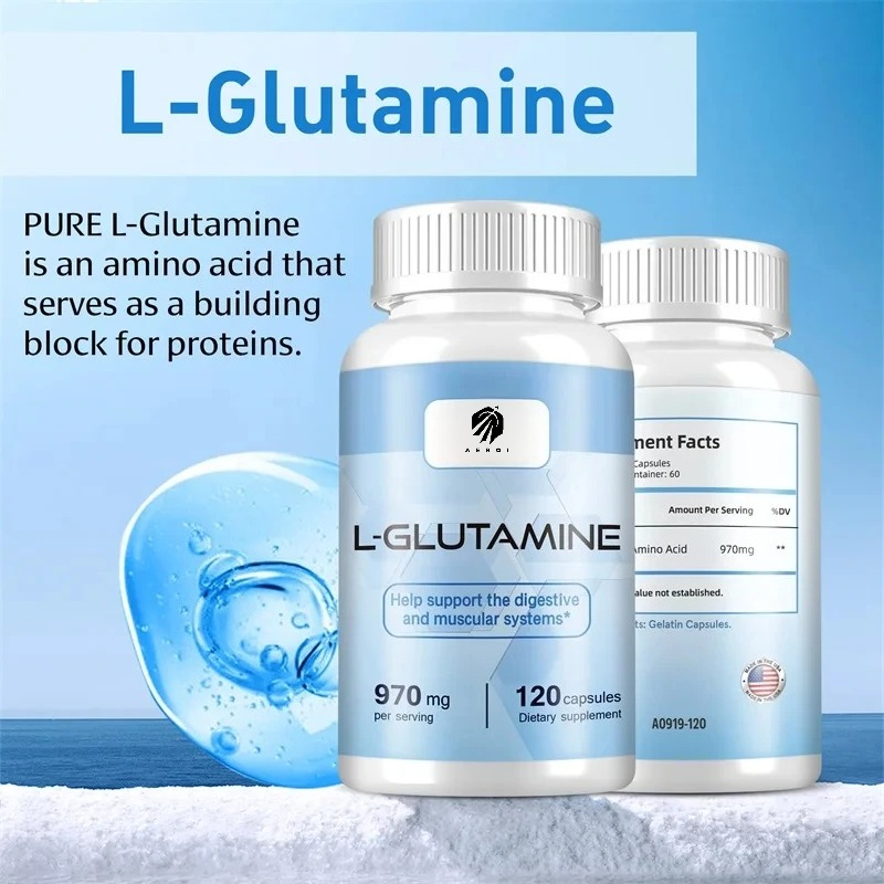 Nutrition Fitness Supplements - Suplemento L-Glutamina para treino, recuperação muscular,