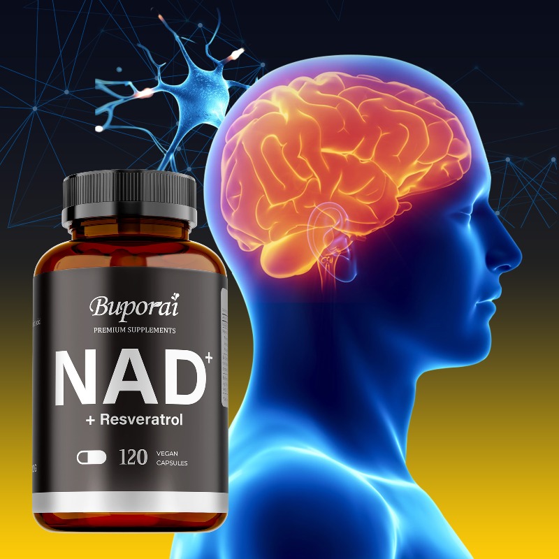 Resveratrol Capsule Anti Aging - Suplementos NAD+ - Antienvelhecimento, Regulam o